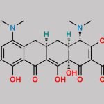 Minocycline 9-Methylamino Impurity CAS#: 607402-73-3