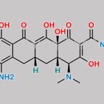 Minocycline EP Impurity D CAS#: 5679-00-5