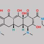 Minocycline EP Impurity F CAS#: 1075240-33-3