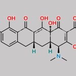 Minocycline EP Impurity I CAS#: 5874-95-3
