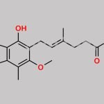 Mycophenolate Dimethylamide CAS#: 59058-64-9