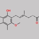 Mycophenolate Mofetil EP Impurity F CAS#: 24280-93-1