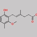 Mycophenolate Mofetil Ethyl Ester CAS#: 13312-25-9