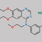 N-Methoxyethyl Erlotinib HCl CAS#: N/A