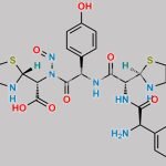 N-Nitroso Amoxicillin Impurity K CAS#: N/A