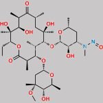N-Nitroso Erythromycin EP Impurity B CAS#: N/A