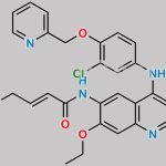 N-Nitroso N-Desmethyl Neratinib CAS#: N/A