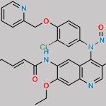 N-Nitroso Neratinib CAS#: N/A