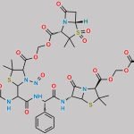N-Nitroso Sultimicllin Impurity CAS#: N/A