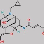 Nalfurafine Impurity 2 CAS#: 2133305-36-7