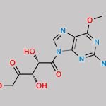 Nelarabine Impurity 9 CAS#: N/A