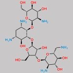 Neomycin sulfate EP Impurity F CAS#: 51795-47-2