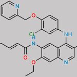 Neratinib CAS#: 698387-09-6