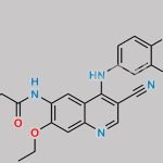 Neratinib Bis-N-Oxide (M11) CAS#: N/A