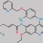 Neratinib D6 CAS#: 1259519-18-0