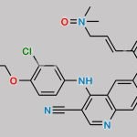 Neratinib Dimethylamine N-Oxide (M7) CAS#: 1376615-55-2