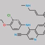 Neratinib N-Methyl CAS#: 915788-27-1