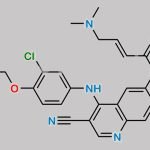 Neratinib Pyridine N-Oxide CAS#: 1376619-94-1