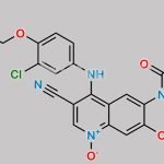 Neratinib Quinoline N-Oxide CAS#: 1348481-03-7