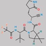Nirmatrelvir Impurity 6 CAS#: 2755812-41-8
