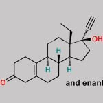 Norgestrel EP Impurity B CAS#: 1095-74-5