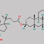 Obeticholic Acid Impurity 10 CAS#: N/A