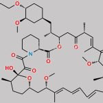 OXO-Everolimus CAS#: N/A