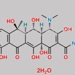 Oxytetracycline Dihydrate CAS#: 6153-64-6