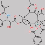 Paclitaxel EP Impurity D CAS#: 150547-36-7