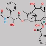 Paclitaxel EP Impurity H CAS#: 78454-17-8