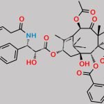 Paclitaxel EP Impurity Q CAS#: 2243233-98-7