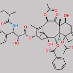 Paclitaxel EP Impurity R CAS#: 158948-96-0