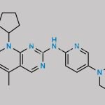 Palbociclib Impurity 4 CAS#: 1376615-91-6