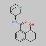 Palonosetron 8-Hydroxy 1-Carboxamide CAS#: 1227162-74-4