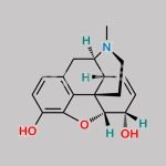 Pholcodine EP Impurity A CAS#: 57-27-2
