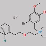 Pinaverium Impurity 3 CAS#: N/A