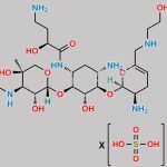 Plazomicin Sulfate CAS#: 1380078-95-4
