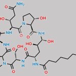 Pneumocandin B0 Serine Analog CAS#: 258510-40-6