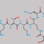 Polymyxin B3 CAS#: 71140-58-4