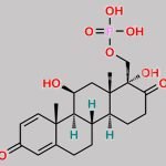Prednisolone D-homo B Derivative CAS#: N/A
