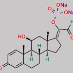 Prednisolone related Compound F CAS#: N/A
