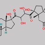 Prednisone Impurity 9 CAS#: N/A