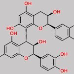 Procyanidin B2 CAS#: 29106-49-8