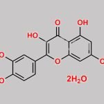 Quercetin Dihydrate CAS#: 6151-25-3