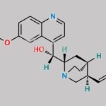 Quinine EP Impurity B CAS#: 485-71-2