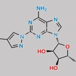 Regadenoson Impurity B CAS#: 313348-29-7