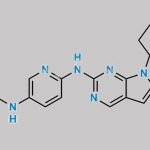 Ribociclib Impurity 12 CAS#: 2460738-27-4