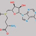 S-Adenosyl-L-methionine D3 CAS#: 68684-40-2