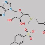 S-Adenosyl-L-Methionine (Tosylate salt) CAS#: 52248-03-0