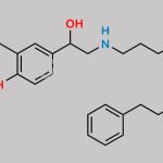 Salmeterol EP Impurity C CAS#: 94749-11-8